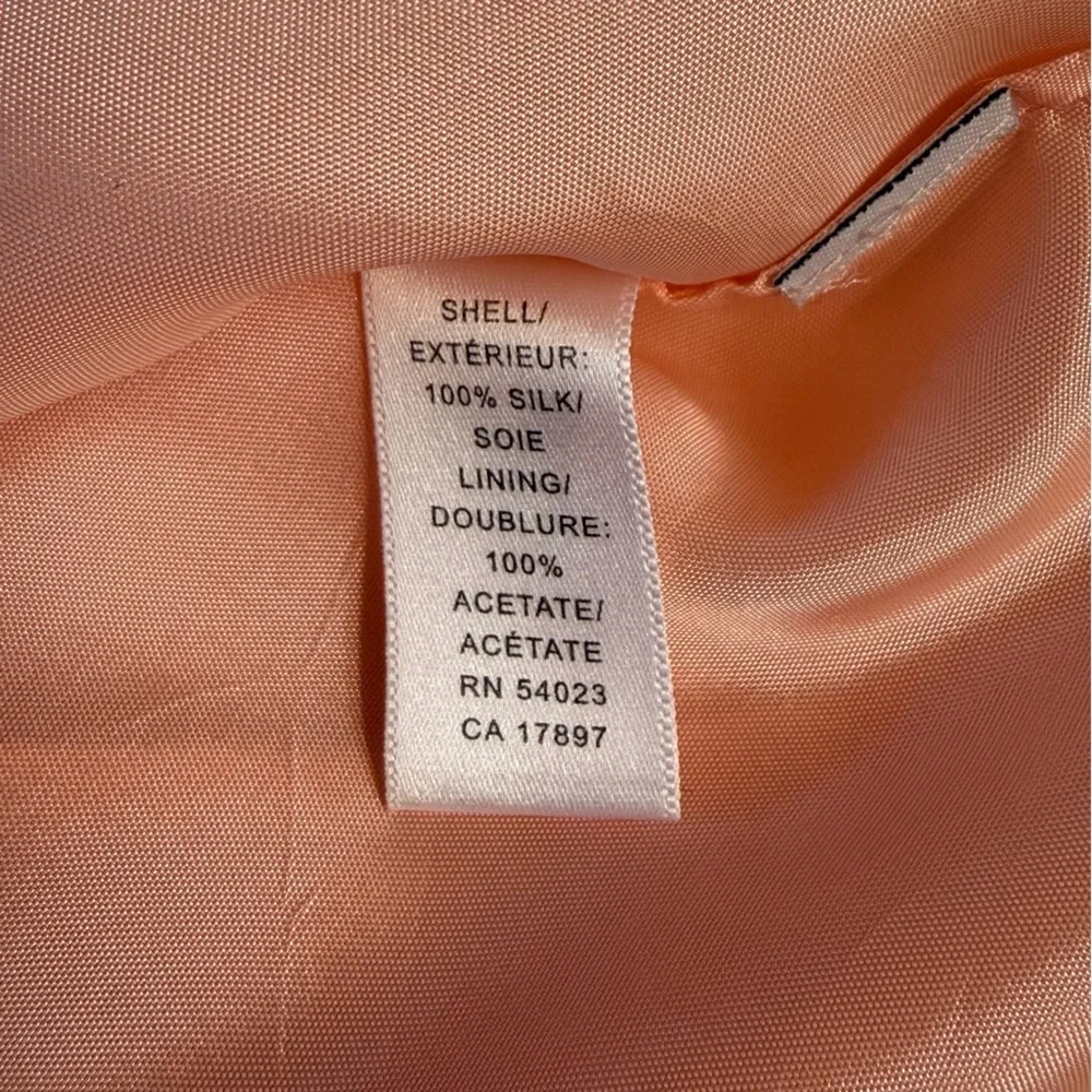 Banana Republic Silk Pleated Sheer Pastel Pink Feminine Cottagecore Skirt 14